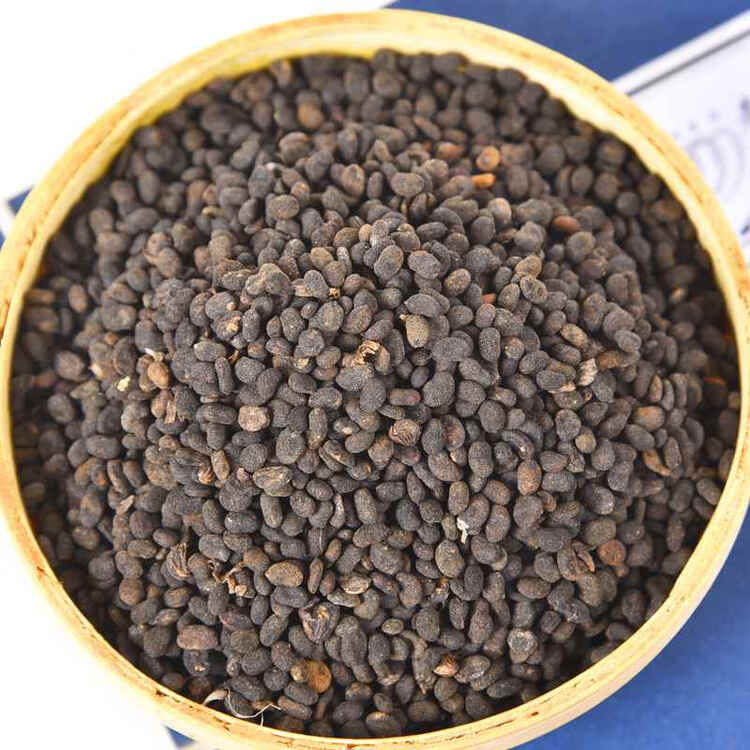 补骨脂 破故纸 婆固脂 胡韭子 补骨脂1000克