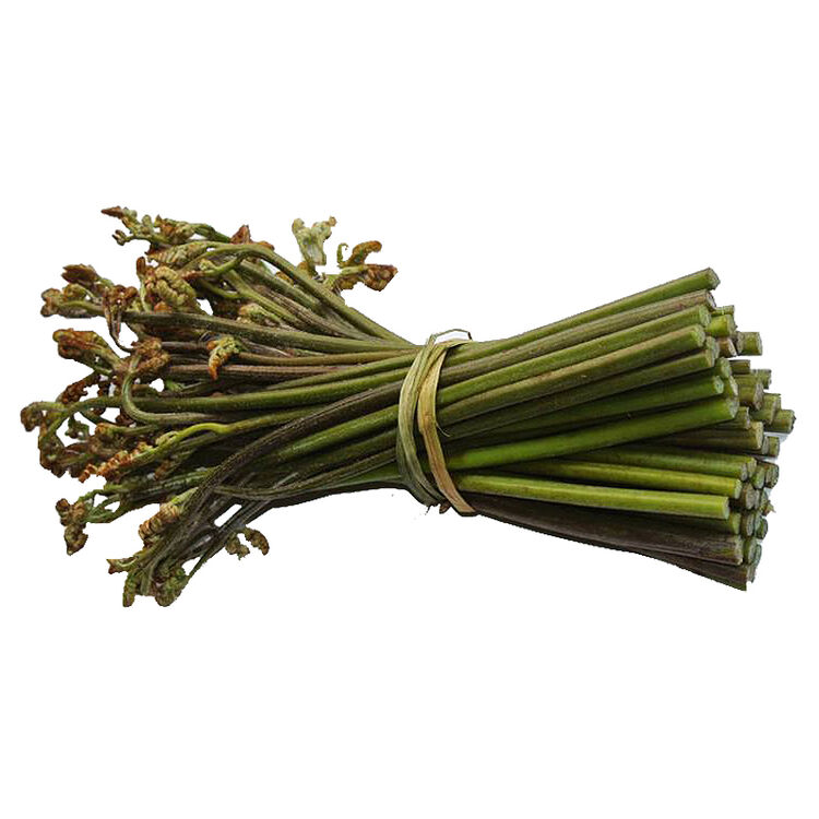 东北山野菜新鲜猴腿菜蕨菜 1kg