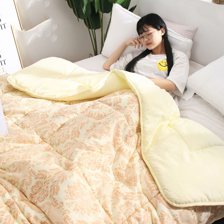 吉瑞妮(jiruini) 加厚夏凉被子冬被芯夏天薄棉被夏季双人单人儿童春秋