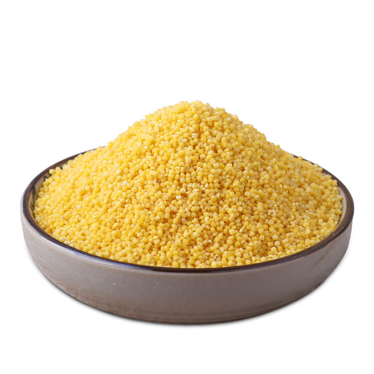 榛鲜御品粮油调味杂粮米东北朝阳小米子月子米5斤简装