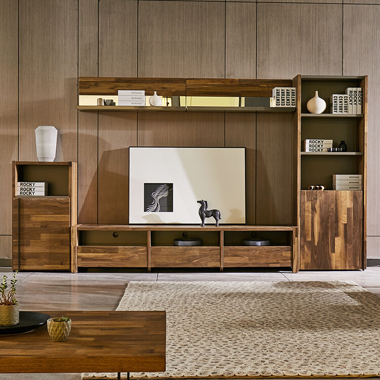 北欧极简家具现代简约实木电视柜组合客厅电视柜背景墙柜 地柜 半高柜