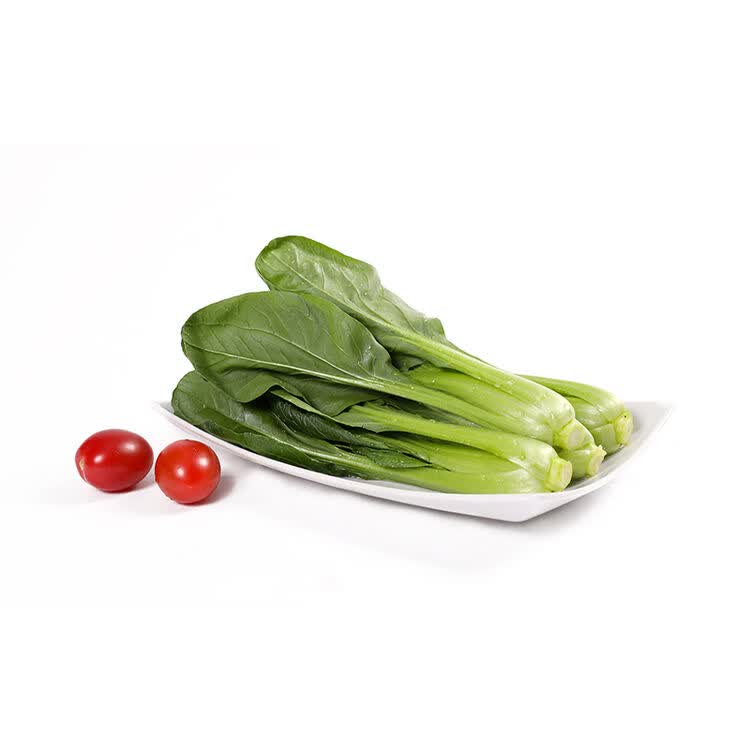 北菜园 有机油菜 250g 有机新鲜蔬菜