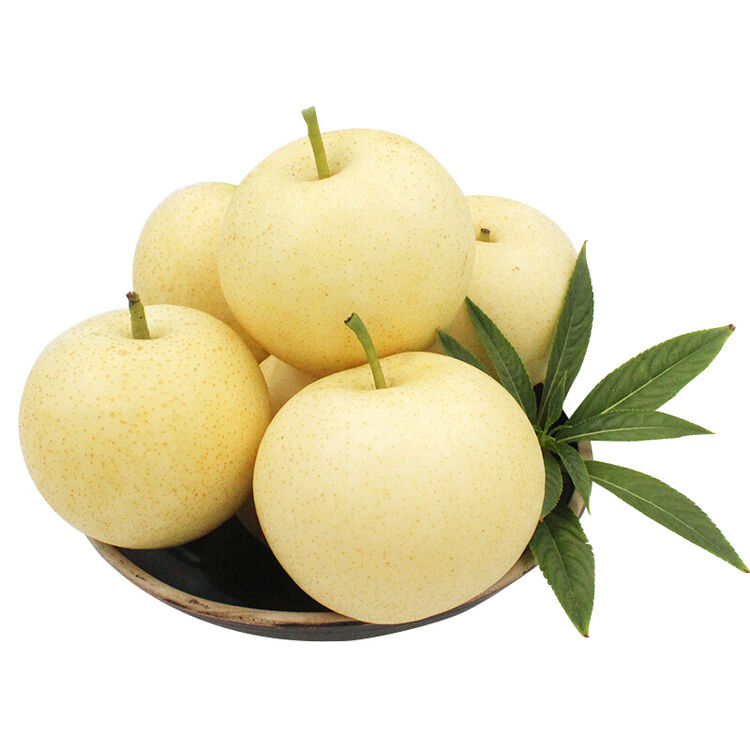山东黄金梨 雪梨酥梨2.5kg 莱阳丰水梨 新鲜水果