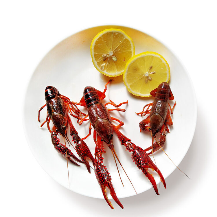 京鲜生【活鲜】江苏盱眙清水鲜活小龙虾1.5kg装 单只5-8钱 共45-55只