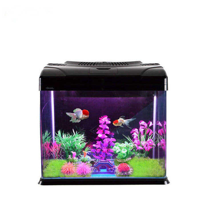 西龙 鱼缸水族箱玻璃鱼缸迷你小型创意桌面鱼缸热带金鱼缸免换水 xq