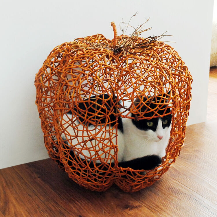 编制创意吉祥南瓜猫房子猫窝鸟笼