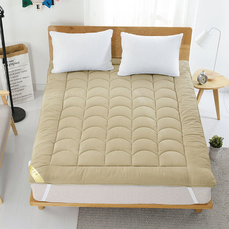 加厚保暖桑蚕丝床垫双人床褥子可折叠1.5m1.