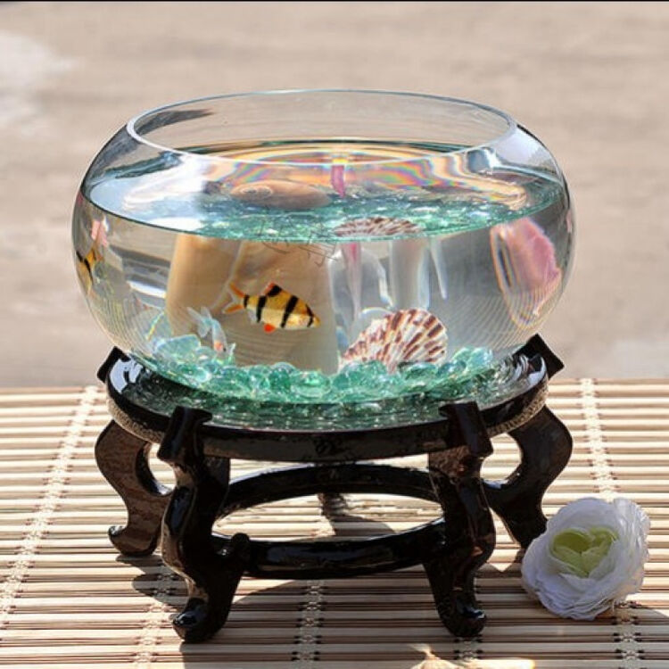 桌面鱼缸生态圆形玻璃金鱼缸乌龟缸迷你小型造景家用水族箱 20cm 底座