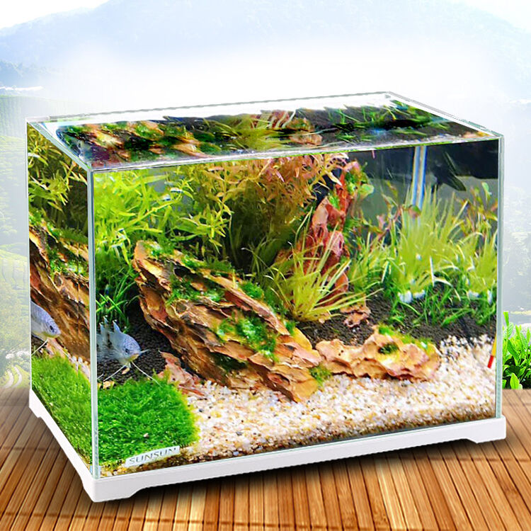 森森鱼缸水族箱小型超白玻璃水草缸造景桌面金鱼缸 500裸缸(50*25.