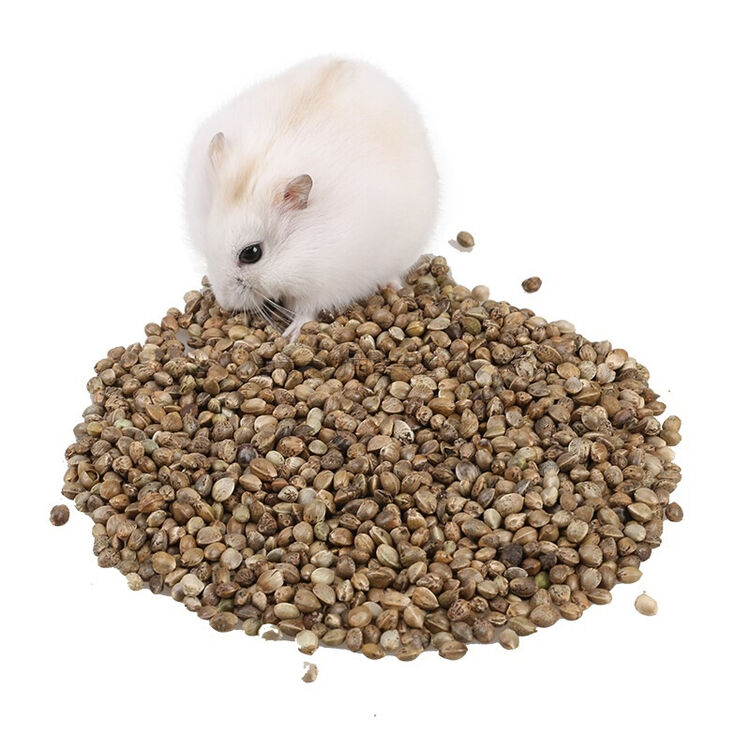 仓鼠粮仓鼠粮食谷物 仓鼠-天然麻子100g