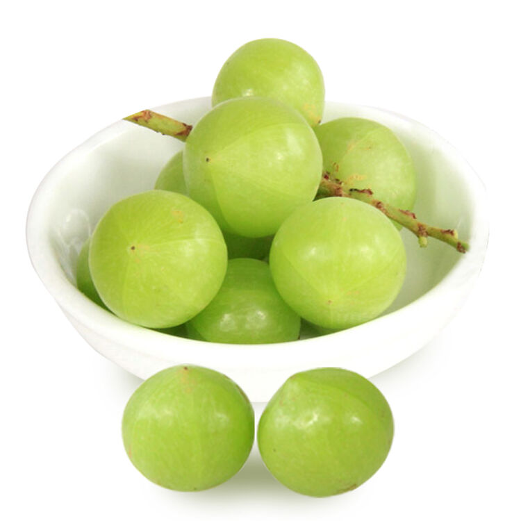 果斋园 广东潮汕油甘果 500g