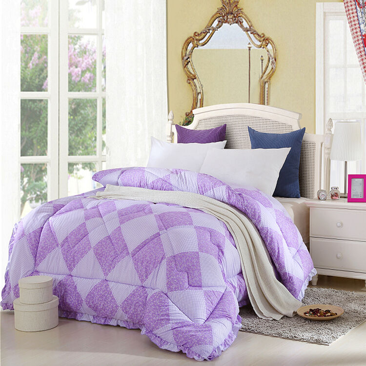 绅雅被芯 春秋九孔被子 双人冬被学生宿舍丝绵被套200*230 紫色