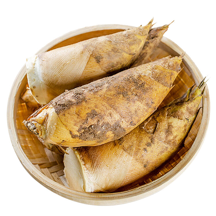 福建新鲜竹笋 2kg 马蹄笋绿笋春夏鲜笋冬笋蔬菜毛竹