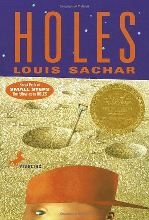 holes 路易斯 萨奇尔 (louis sachar)