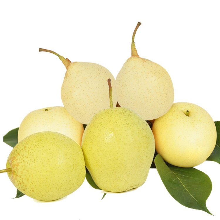 3kg 新鲜水果 (皇冠梨3个 鸭梨3个 雪花梨2个)