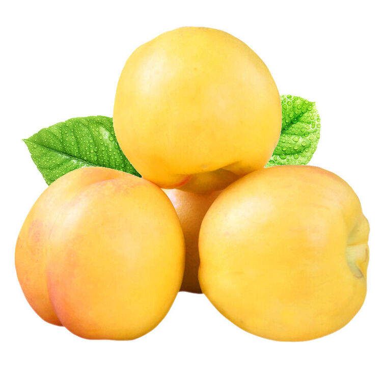 国产黄油桃500g 单果100-150g 新鲜水果