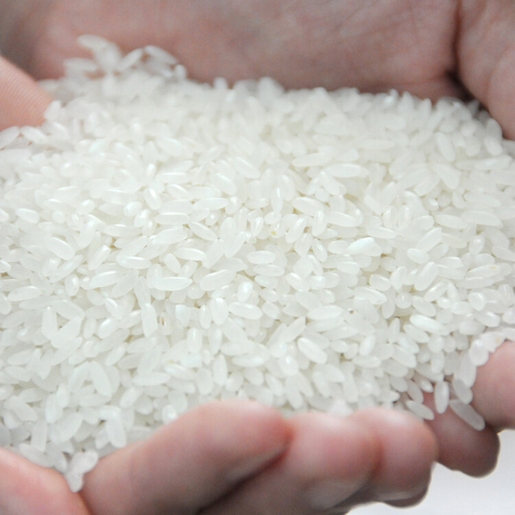 君稻 稻花香米 五常大米 东北大米 大米5kg 光明服务菜管家商品 