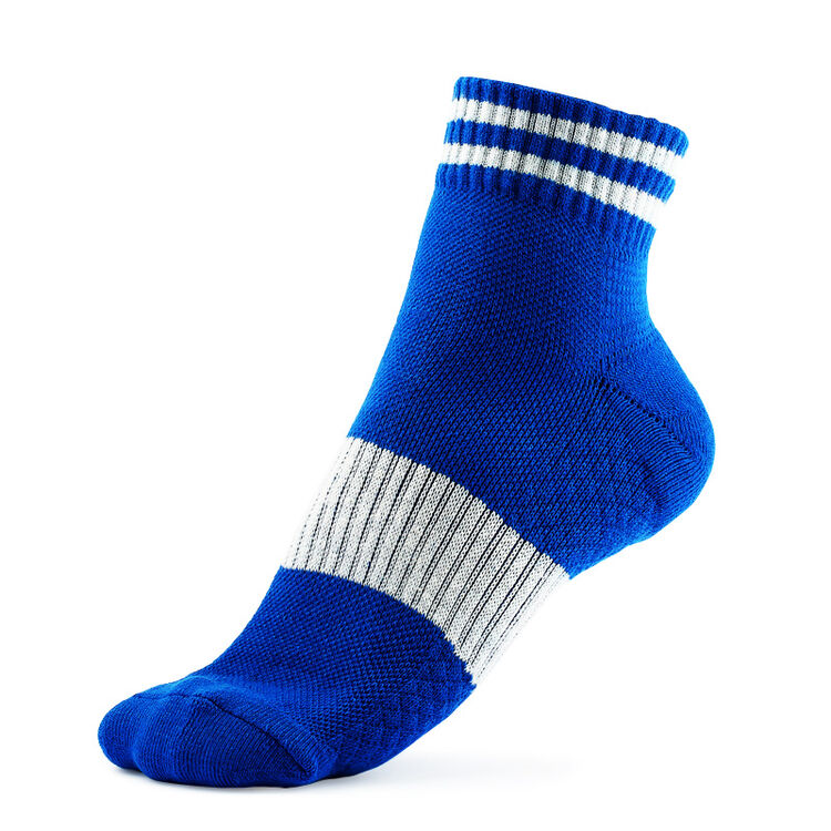 stream 日本进口运动风吸汗透气防臭百搭运动男袜子 蓝色
