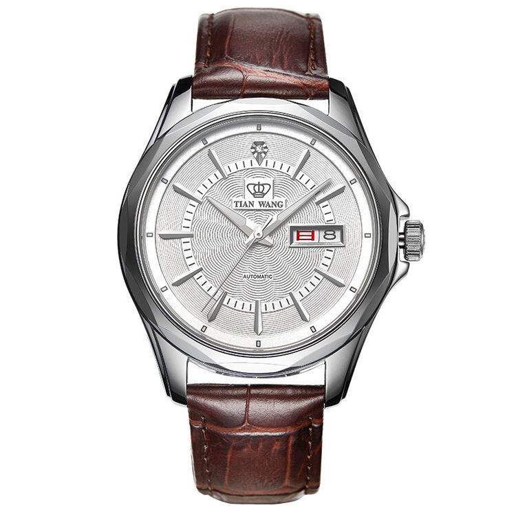 天王表(tianwang)手表 山河系列皮带机械表钟表男表白色gs5751s/dd-a