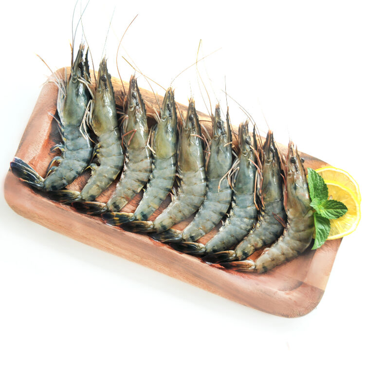 壹家壹站 原装进口马来西亚黑虎虾(活虾急冻)400g 13-14只 盒装