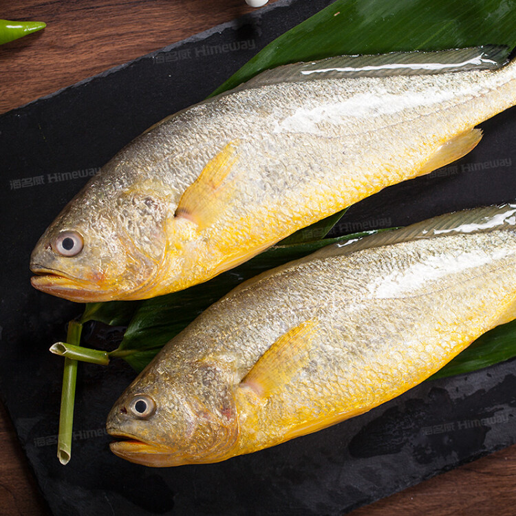 海名威海名威 冷冻黄花鱼（大黄鱼）600g单条装 生鲜水产 鱼类 健康轻食