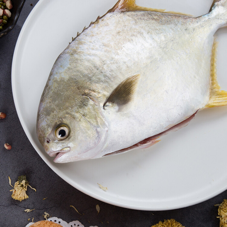 翔泰 冷凍二去金鯧魚340g1條  生鮮魚類 火鍋食材 海鮮水產(chǎn) 光明服務(wù)菜管家商品