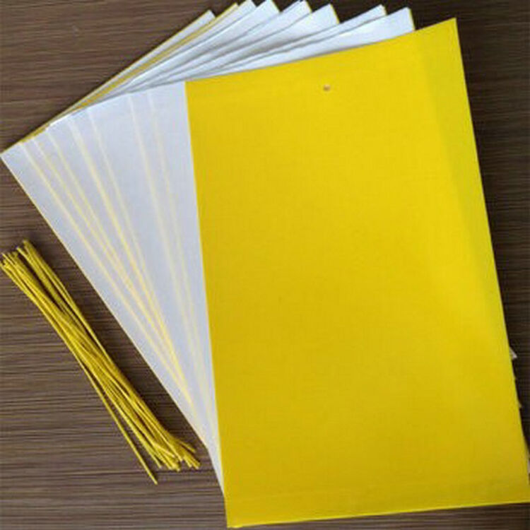 春天来了 黄虫板粘虫板 蓝板25cm*15cm