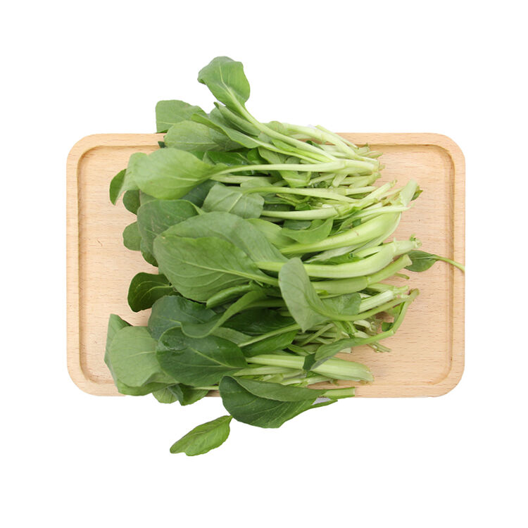 小汤山油菜苗200g基地直供新鲜蔬菜