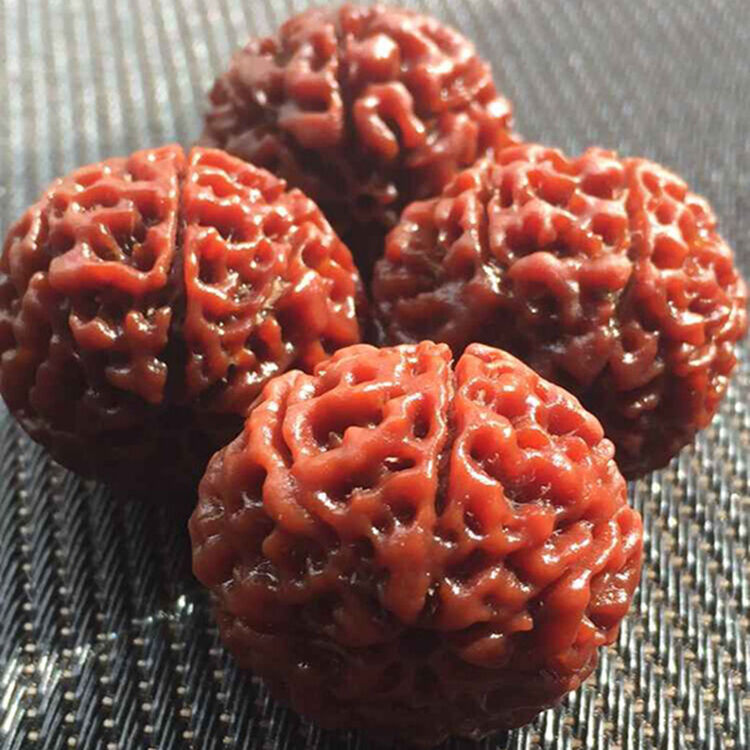 东颉 红皮大金刚菩提子瓣满肉纹矮桩菩提散珠原籽手串佛珠