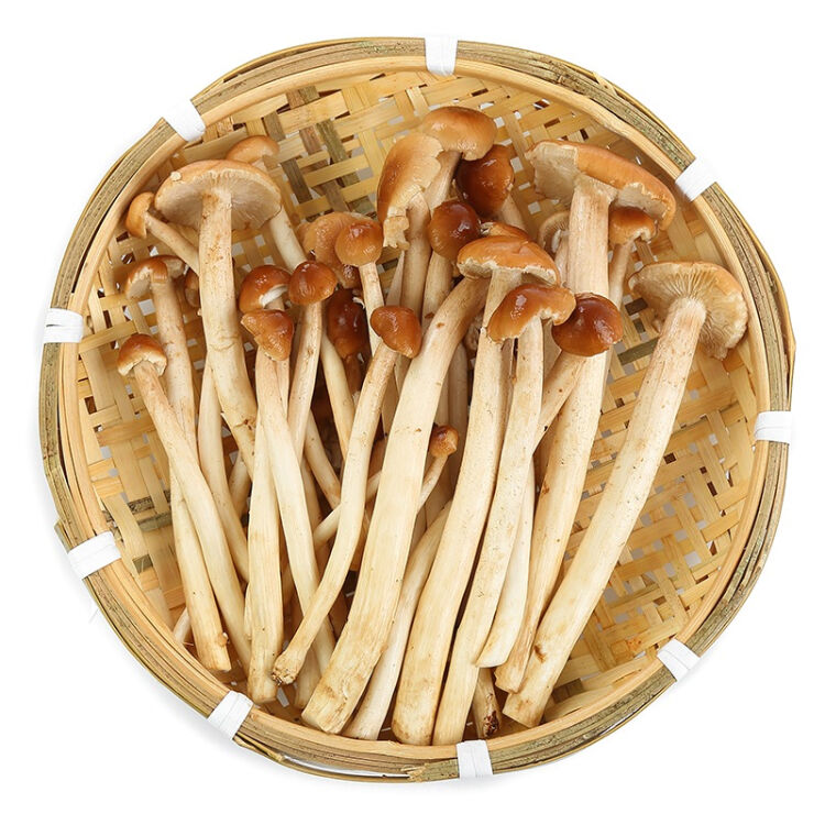 东源兴 茶树菇 蘑菇 约400g 新鲜蔬菜【图片 价格 品牌 评论】