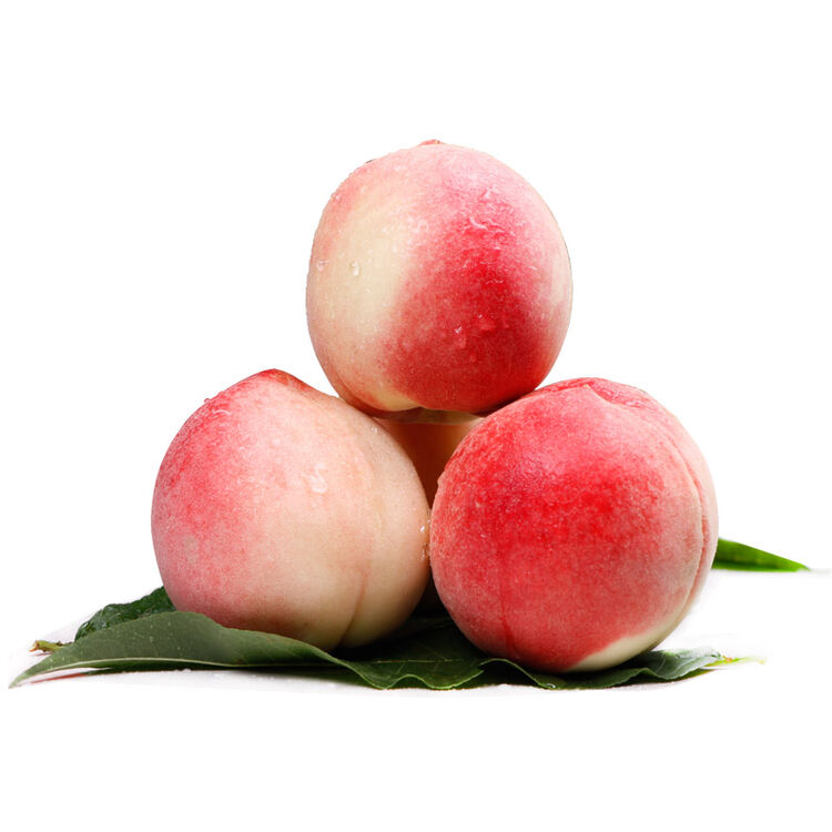 潘苹果 天水秦安水蜜桃新鲜桃子水果现摘现发水蜜桃水果 15粒 3.5kg