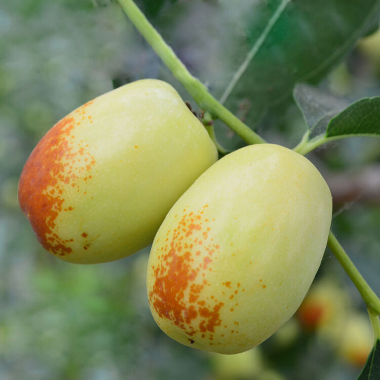 京东购物-商品详情