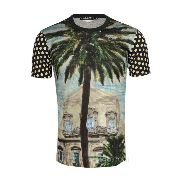 dolce&gabbana 杜嘉班纳 男士风景图案纯棉t恤 拼色 46