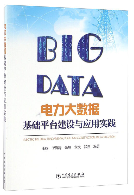 电力大数据基础平台建设与应用实践