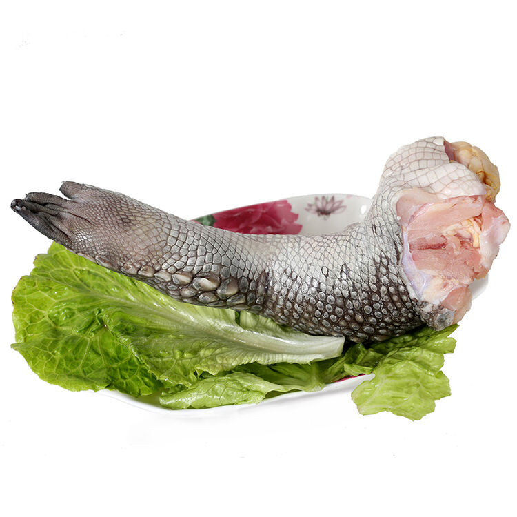 豪感角 海南鲜冻鳄鱼掌 整只2000g左右 袋装 鳄鱼肉生态养殖