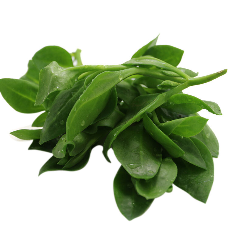 密农人家 穿心莲 夏季凉菜 新鲜蔬菜 250g