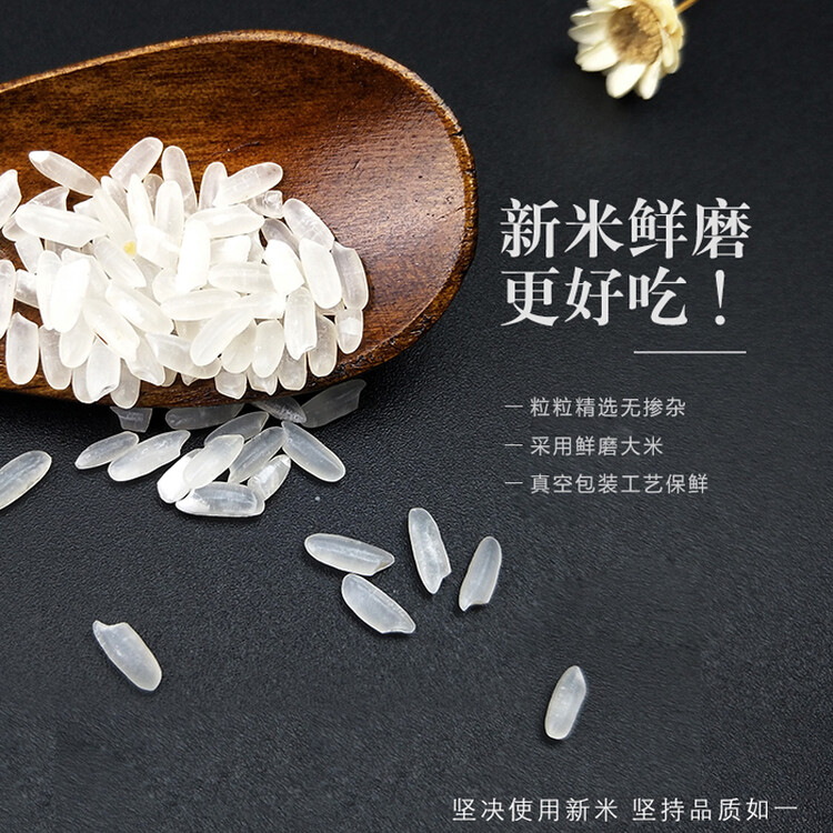 三人行东北大米 稻香2号1.25kg 2023年新米 东北哈尔滨特产 粳米2.5斤 菜管家商品
