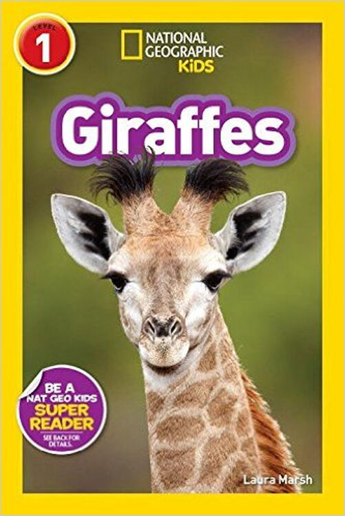 national geographic readers: giraffes 英文原版