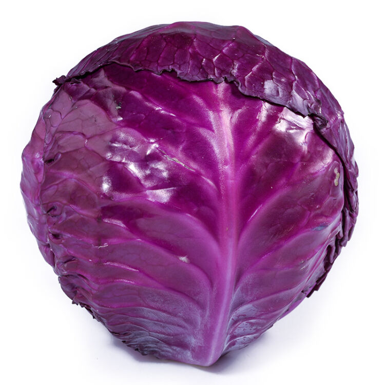 多利农庄 有机紫甘蓝 紫包菜 约400g 新鲜蔬菜