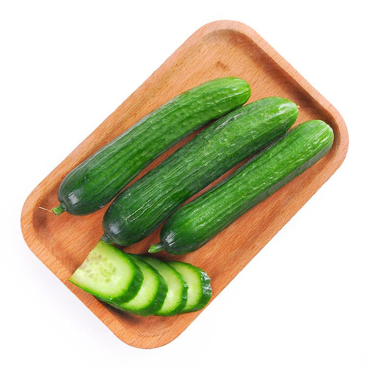 沱沱工社 有机乳黄瓜 约300g 新鲜蔬菜