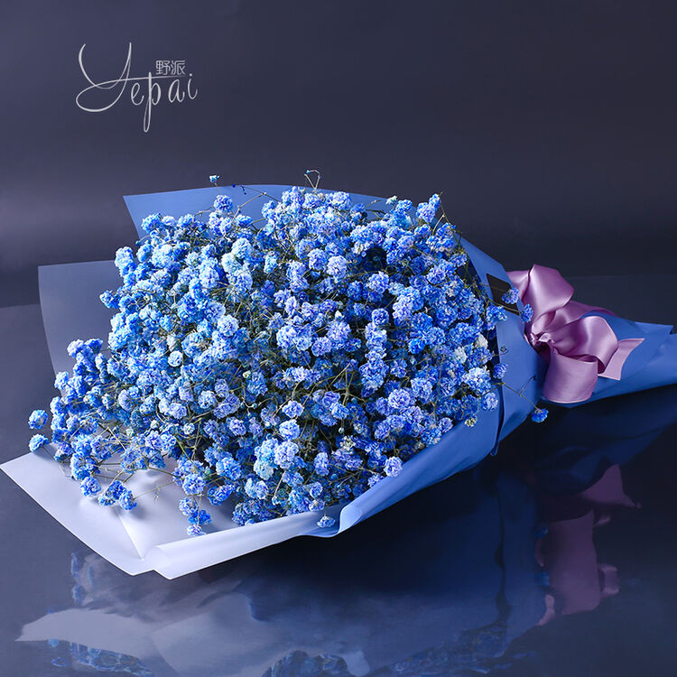 野派花艺蓝色满天星鲜花速递生日礼物高档礼盒满天星花束送礼温州宁波