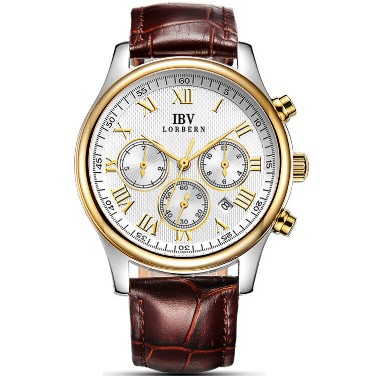 路宝(ibv)手表 男士全自动机械手表 镂空六针商务休闲男表 8828 间
