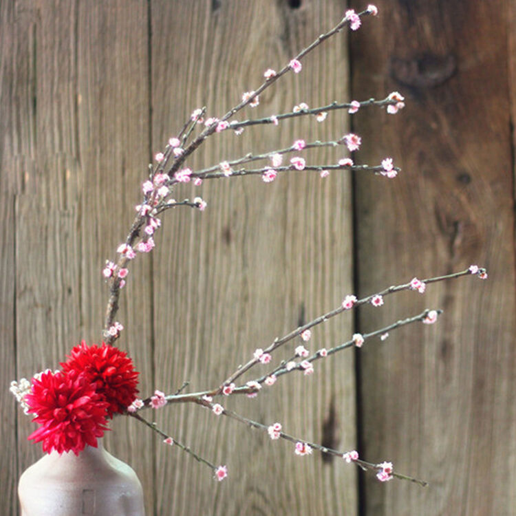 菲亚莉 干花 文艺中国风怀旧家居装饰 艺术干花花束花插梅花腊梅 梅花