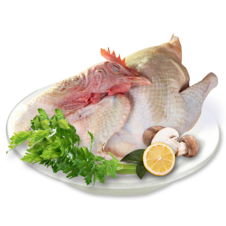 五合昆域 有机枸杞大公鸡 1.5kg/袋整只装 天山散养