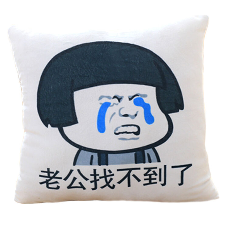 暖手抱枕靠垫坐垫 毛绒玩具 好友圣诞节礼物 礼品汽车装饰 老公找不到