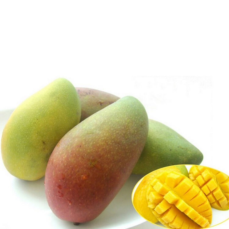 鲜美 海南贵妃芒 芒果 4kg