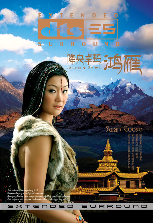 降央卓玛 鸿雁dts(cd)