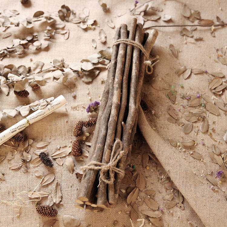 迷·妆 原木木棒树枝木段 店面家居软装饰品客厅橱窗diy配饰样板房