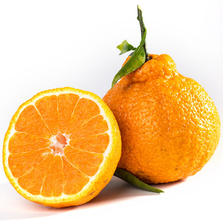 一果人生 不知火 丑柑 丑八怪橘子 丑橘 5斤装