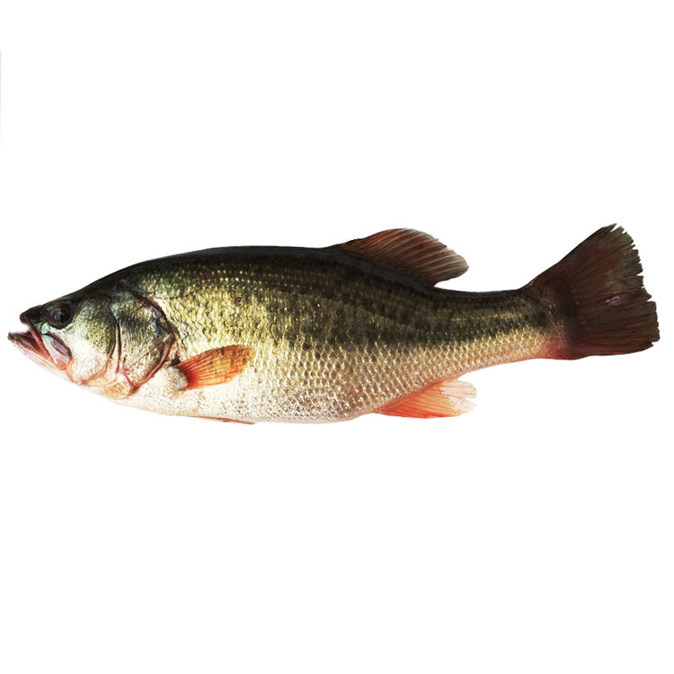 京东购物-商品详情